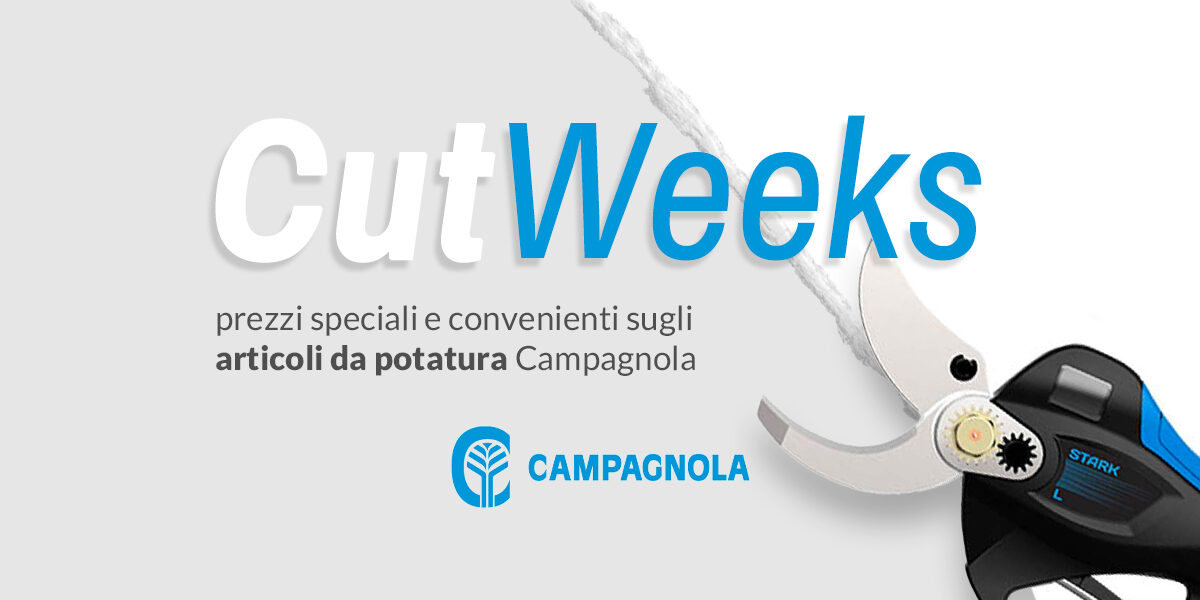 agrimacchine-polesana-promozione-potatura-campagnola-plugin-elettrico-2023