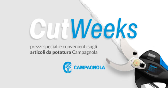 agrimacchine-polesana-promozione-potatura-campagnola-plugin-elettrico-2023
