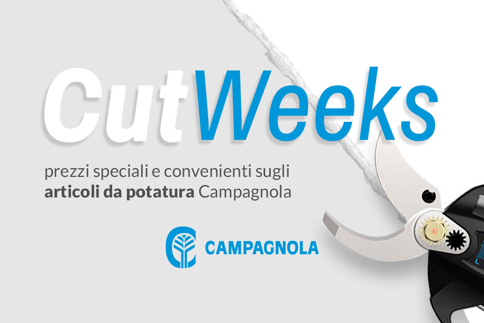 agrimacchine-polesana-promozione-potatura-campagnola-plugin-elettrico-2023
